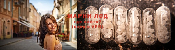 стаф Покачи