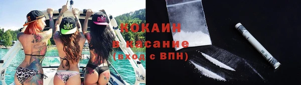 стаф Покачи