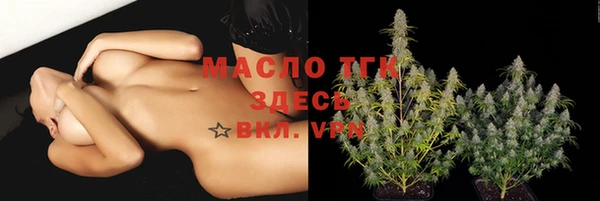 стаф Покачи
