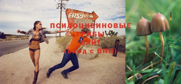 спайс Покров