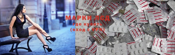 стаф Покачи