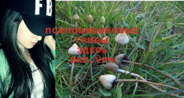 стаф Покачи